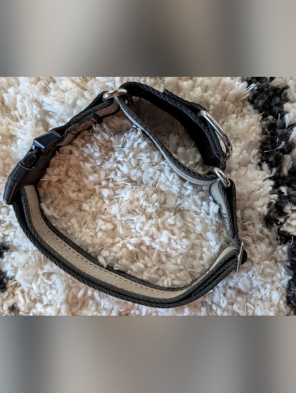 Gray And Black Dog Collar